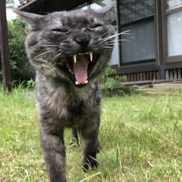俺も元気だぜ〜