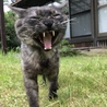 俺も元気だぜ〜