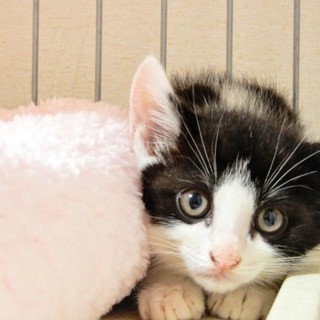 甘えん坊末っ子の潤くん