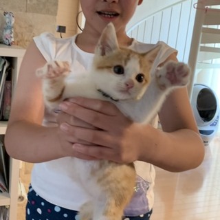 ずっとのお家探しています
