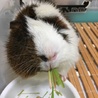 ふなんぼ