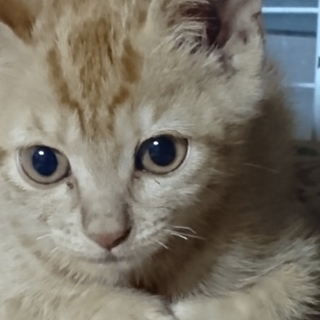 ありがとうございました！