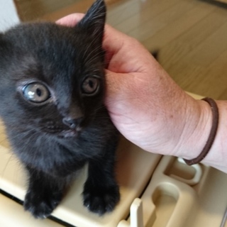 ありがとうございました！