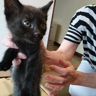 ありがとうございました！