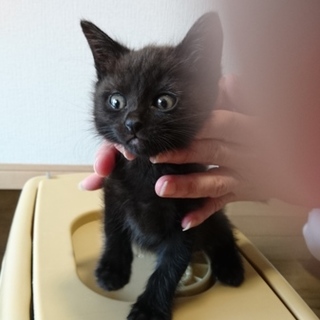 ありがとうございました！