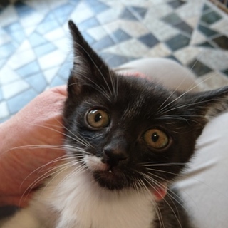 ありがとうございました！