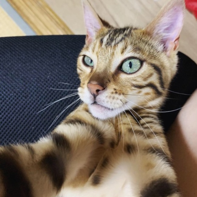 なぎ*のカバー写真