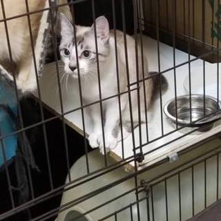 人懐っこいメイちゃん！