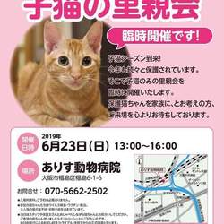 「譲渡について」サムネイル3