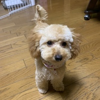 るり