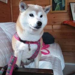 癒しの休日(*˘︶˘*).｡.:*♡