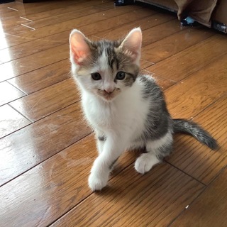 ありがとうございました