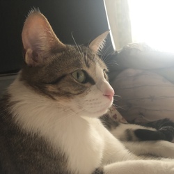 何ヶ月ぶりでしょうか？