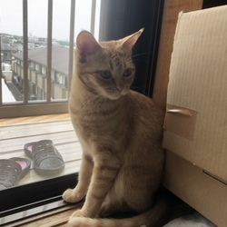 「何ヶ月ぶりでしょうか？」サムネイル2