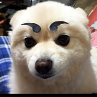 ぐっち