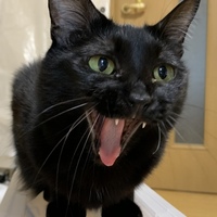 ミチル