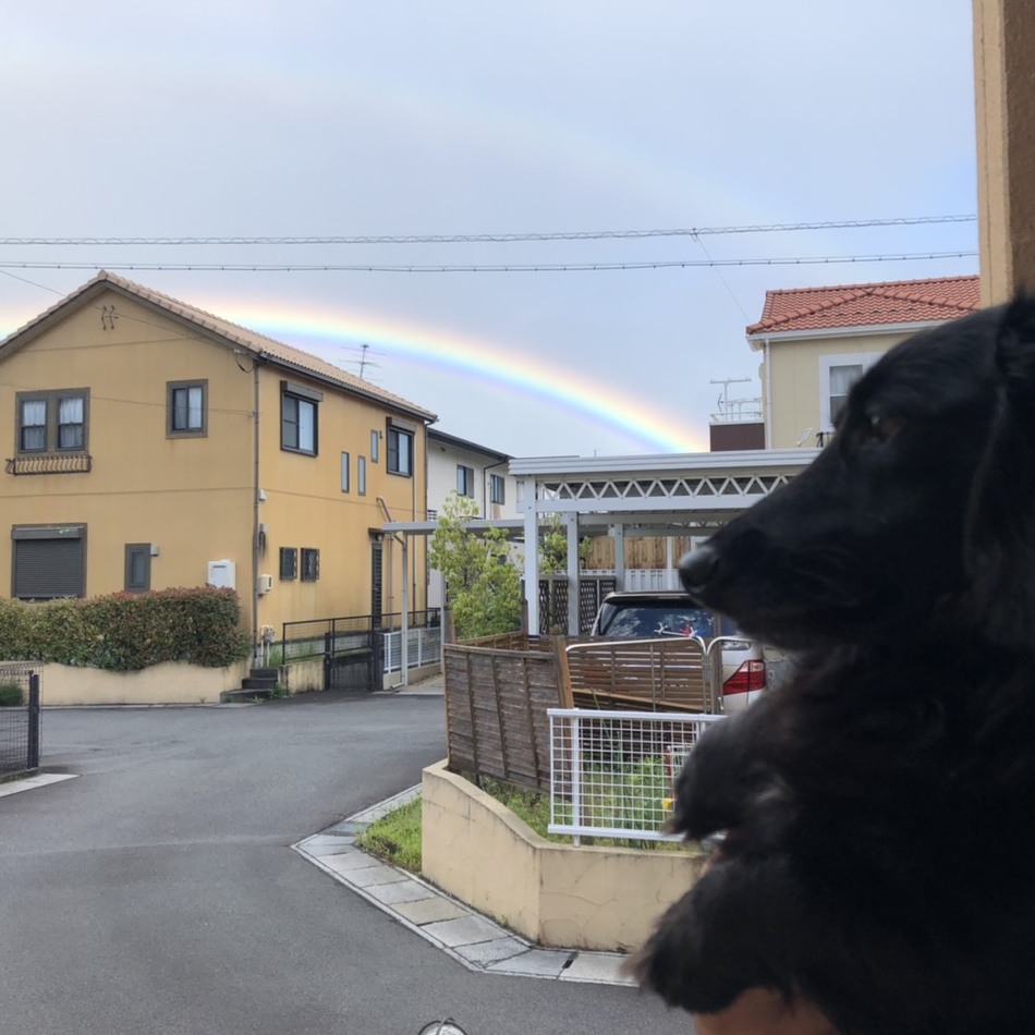 オレオのカバー写真