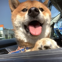 げん