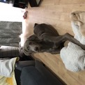 急募です！