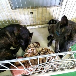 有り難うございました(^^)