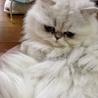 の写真