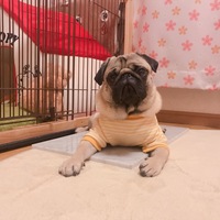 福丸