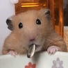 餌を食べている瞬間です