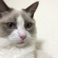 クウ