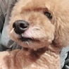 かくす ゆうき