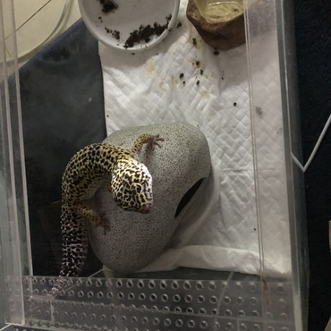 久々にログインしたので記念写真