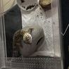 久々にログインしたので記念写真