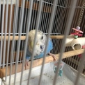 急募 どうか守ってください