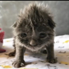 ちゃんれいちゃん