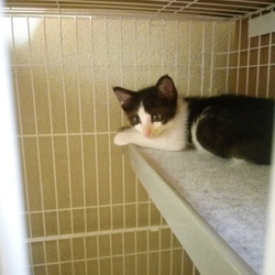 「広いケージにお引越し。」サムネイル2