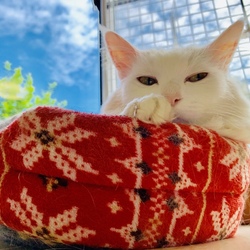 まったりしよう