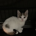 仲良し兄妹 みみちゃん