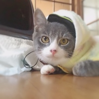 ソウル