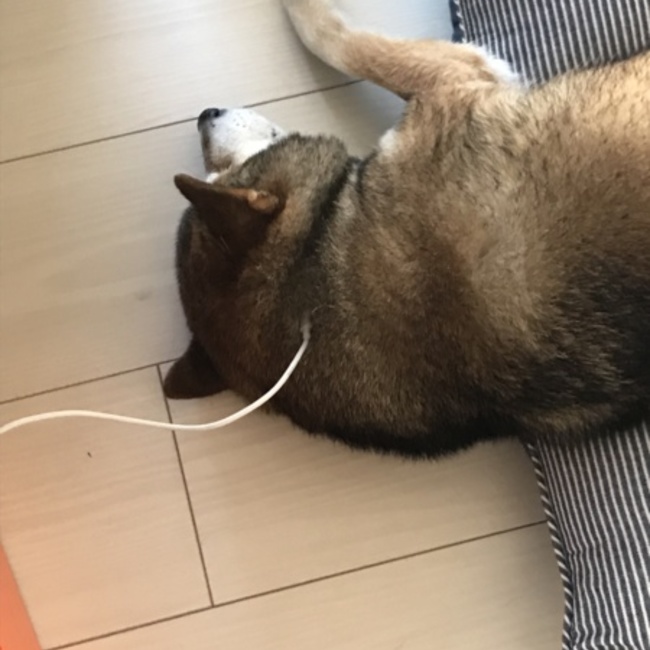 なずなのママのカバー写真