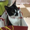ふう0220 さん
