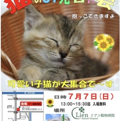 猫のお見合い会