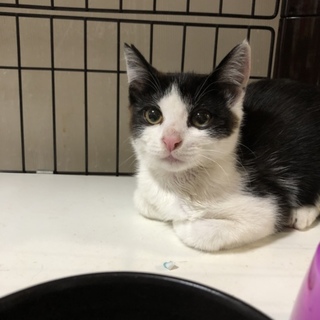 すりすり〜なイケメンそうすけ君