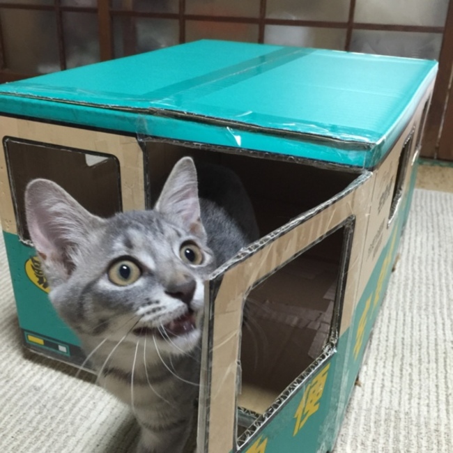 Mikan2のカバー写真