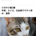 飼育継続不可能の為、期限6/26です