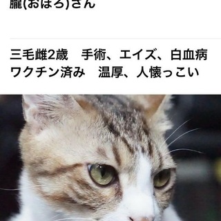 お家がなくなります、期限が6/26です