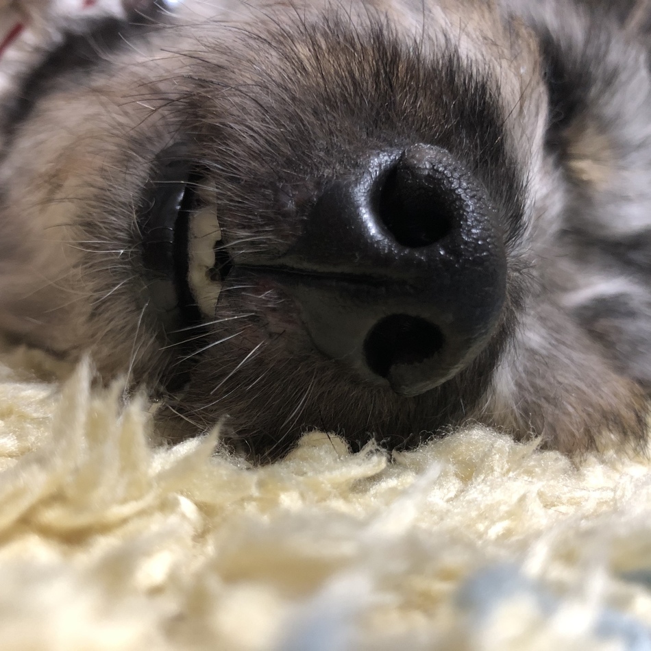 Chloeのカバー写真