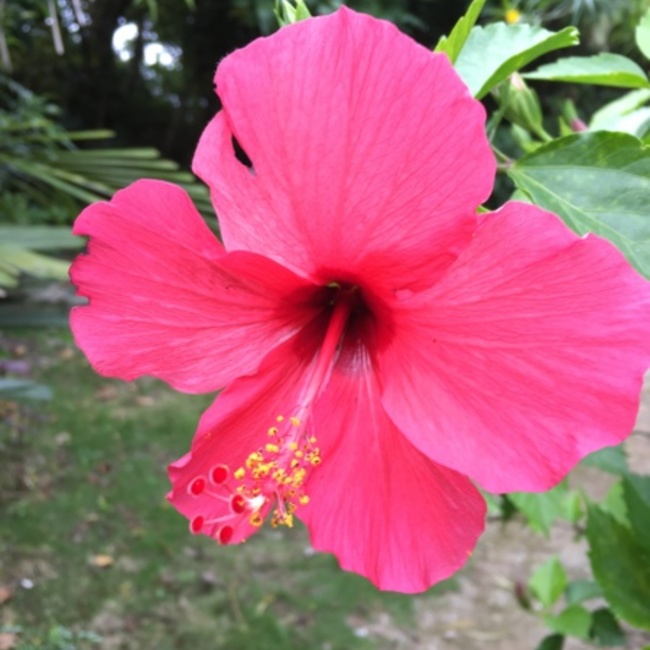 ななまるのカバー写真