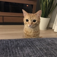 エデン
