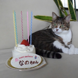 「誕生日」サムネイル2