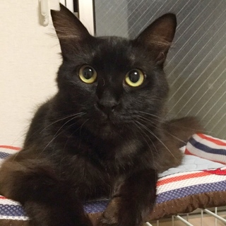 ちょっぴりシャイなフワフワのタクくん♪