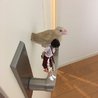 えりんのみりん